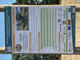 Projet MAGMA, CTIFL de Balandran